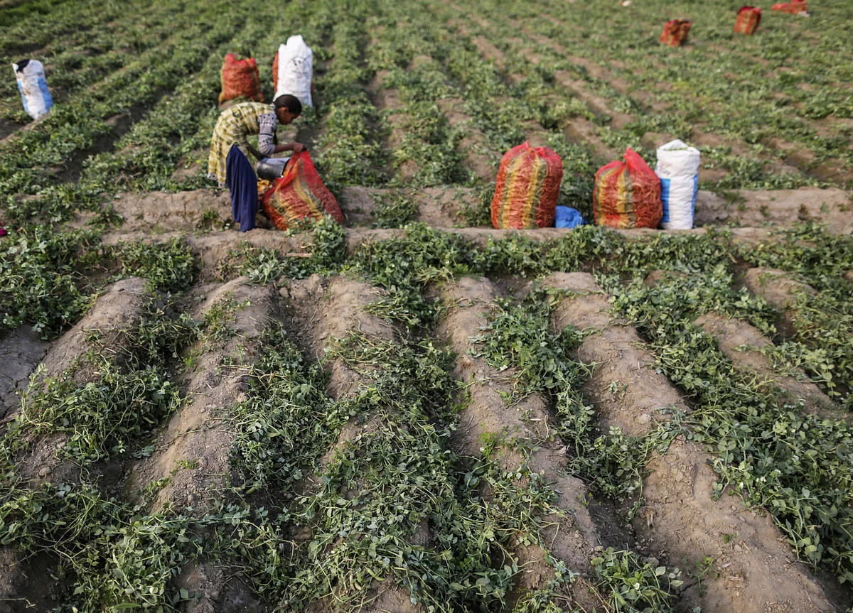 Punjab Chief Minister Says His Government Will Move Supreme Court Over New Farm Laws, Warns Against ISI Threat