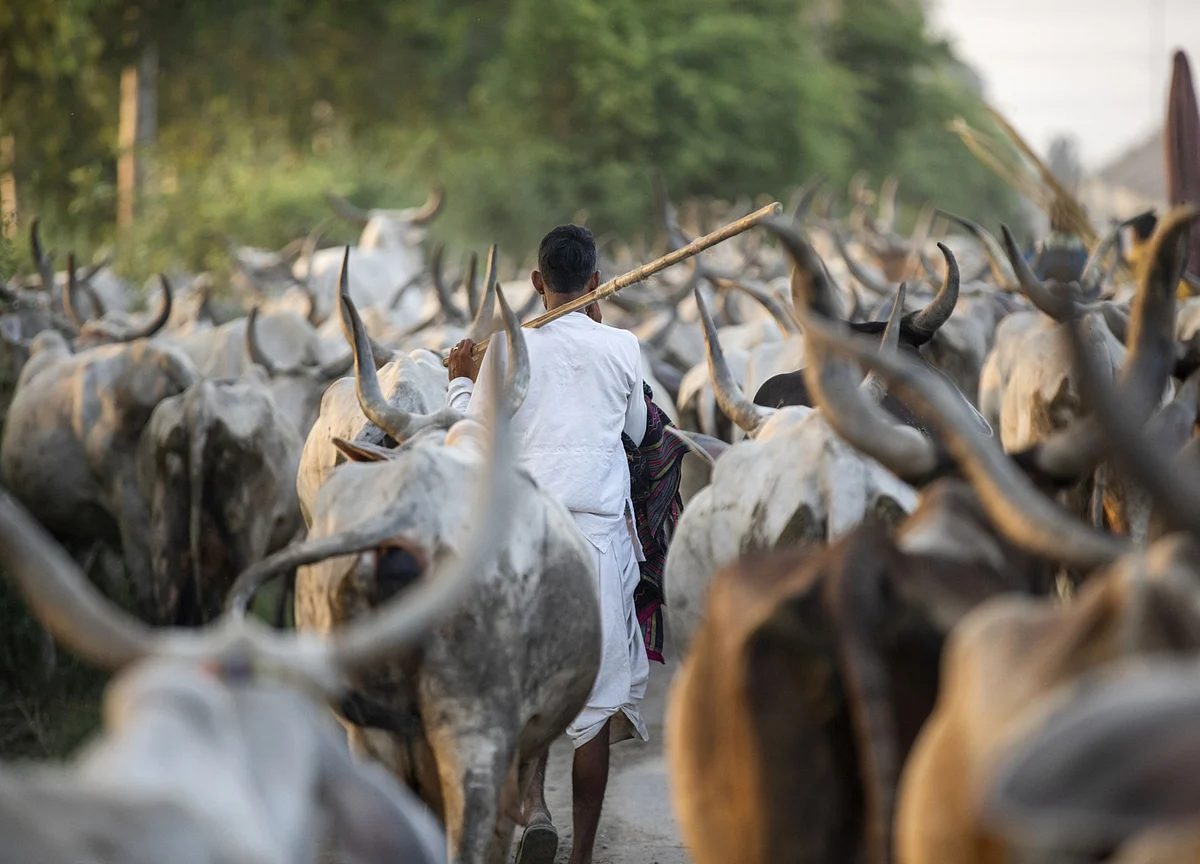 10 Central Trade Unions To Support Nationwide Farmers Protest On Friday