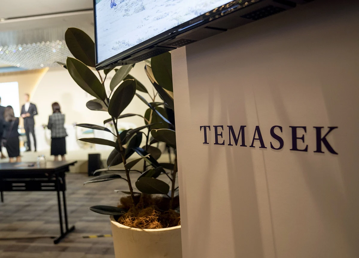 Temasek Sees Connected Homes, Smart Systems As Key Investment Themes In India