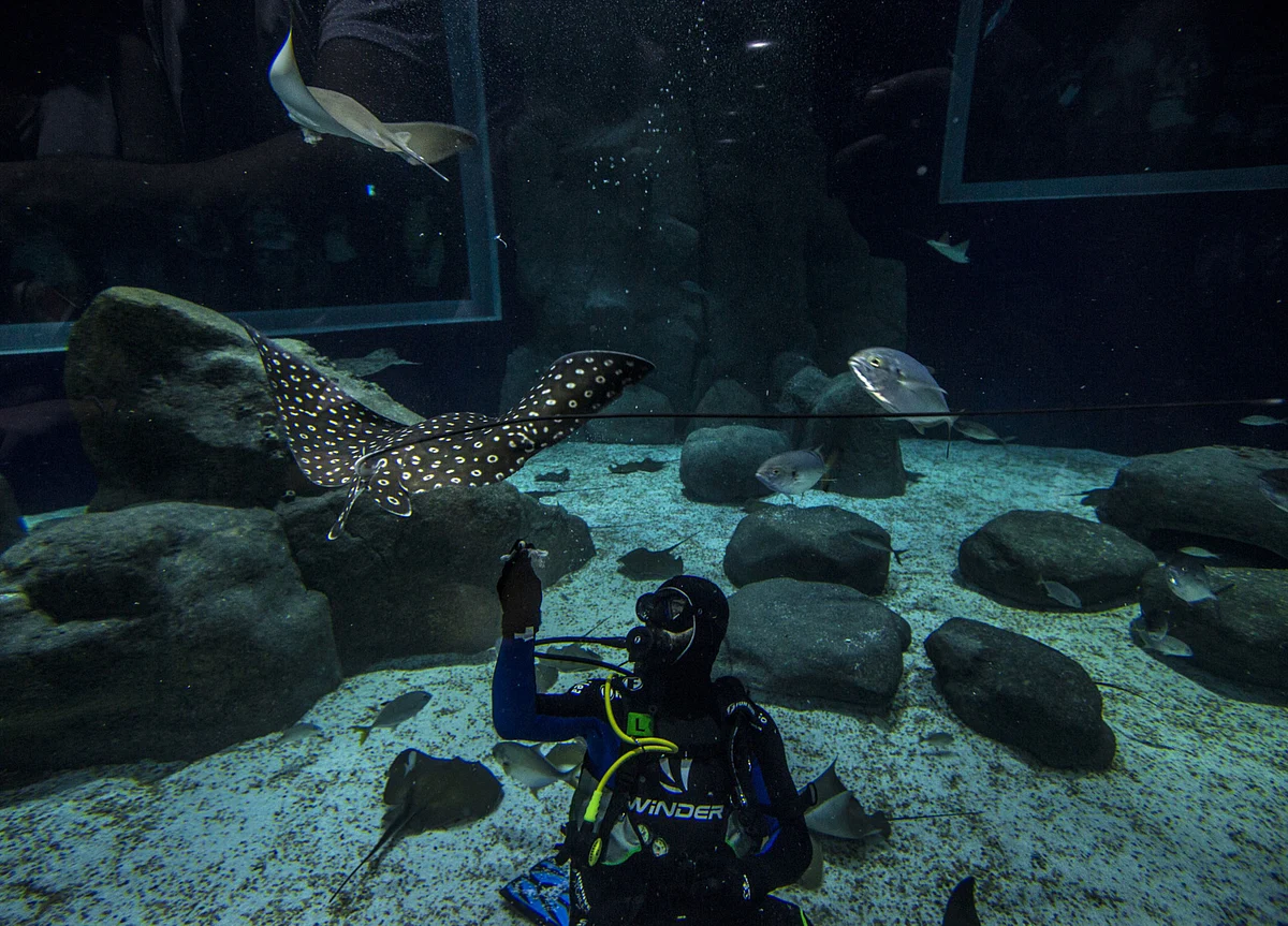 The Marine Scientist on a Mission to Cure the Oceans