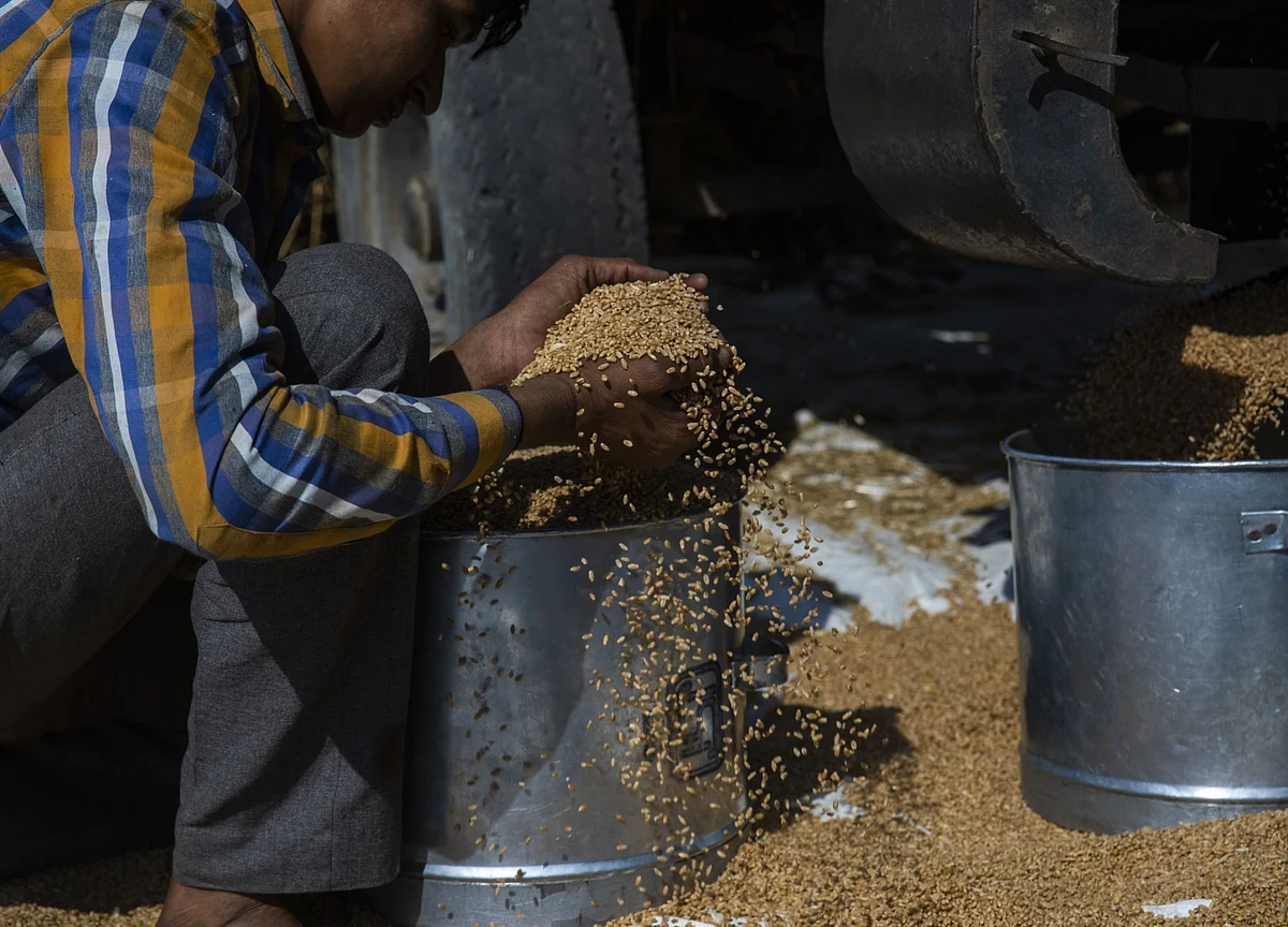 Why Modi’s Laws to Liberalize Farming Worry Farmers