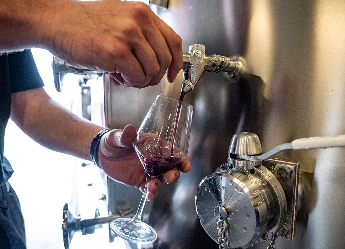 Bats Are the Newest Key to Producing a Fine Bottle of Bordeaux