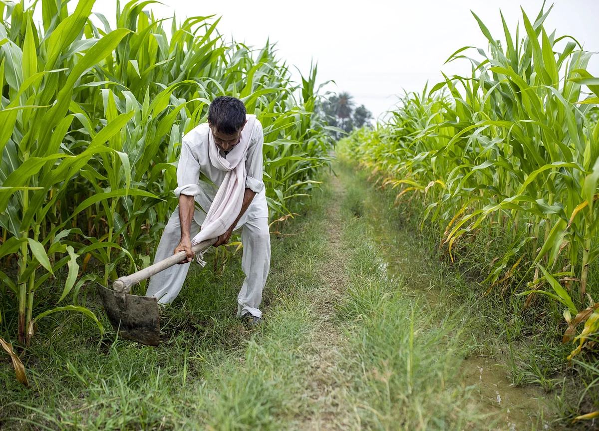 Farm Reforms: Green Revolution II Needs Kisan Camps