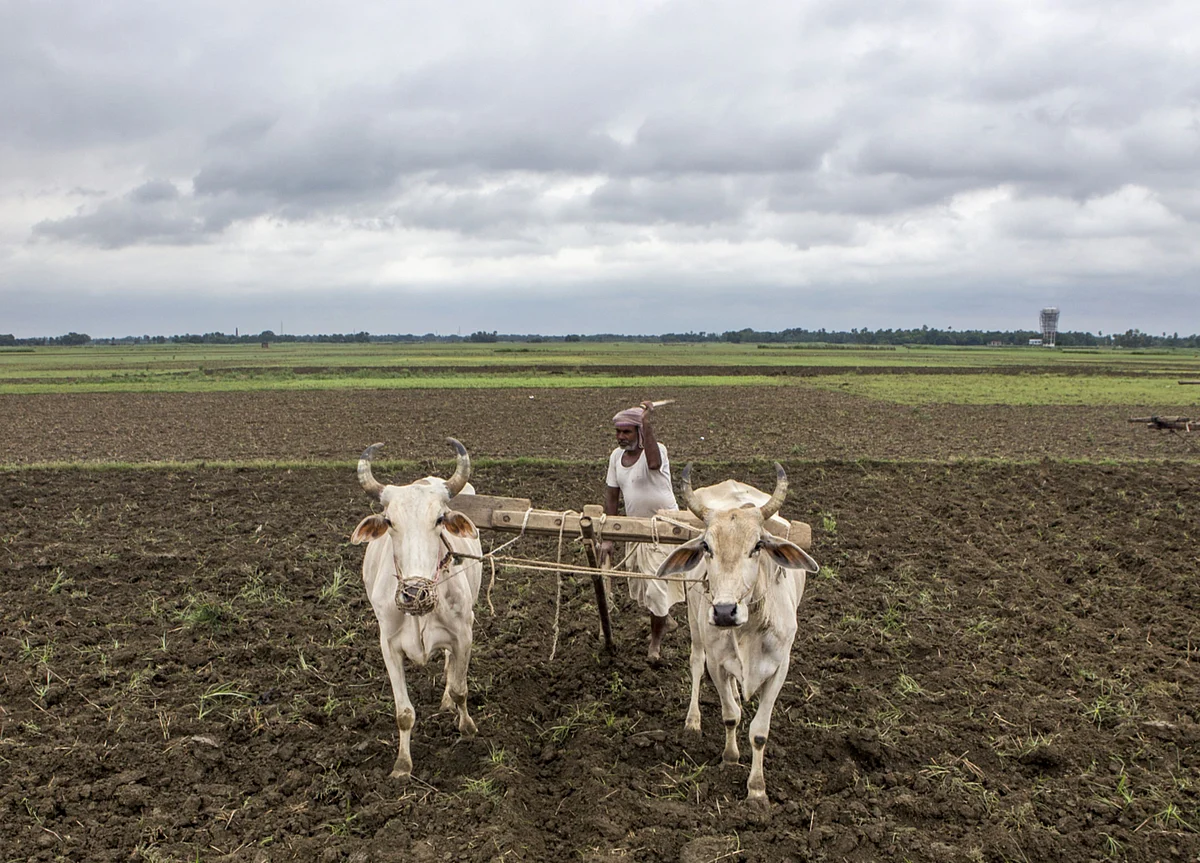 Punjab Assembly Unanimously Passes Bills Against Farm Laws