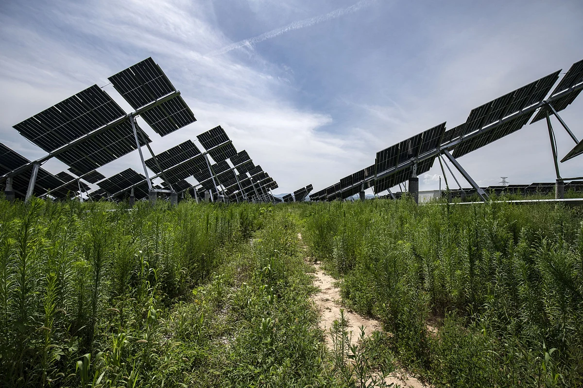 Green Power to Draw $11 Trillion Investment by 2050: BNEF