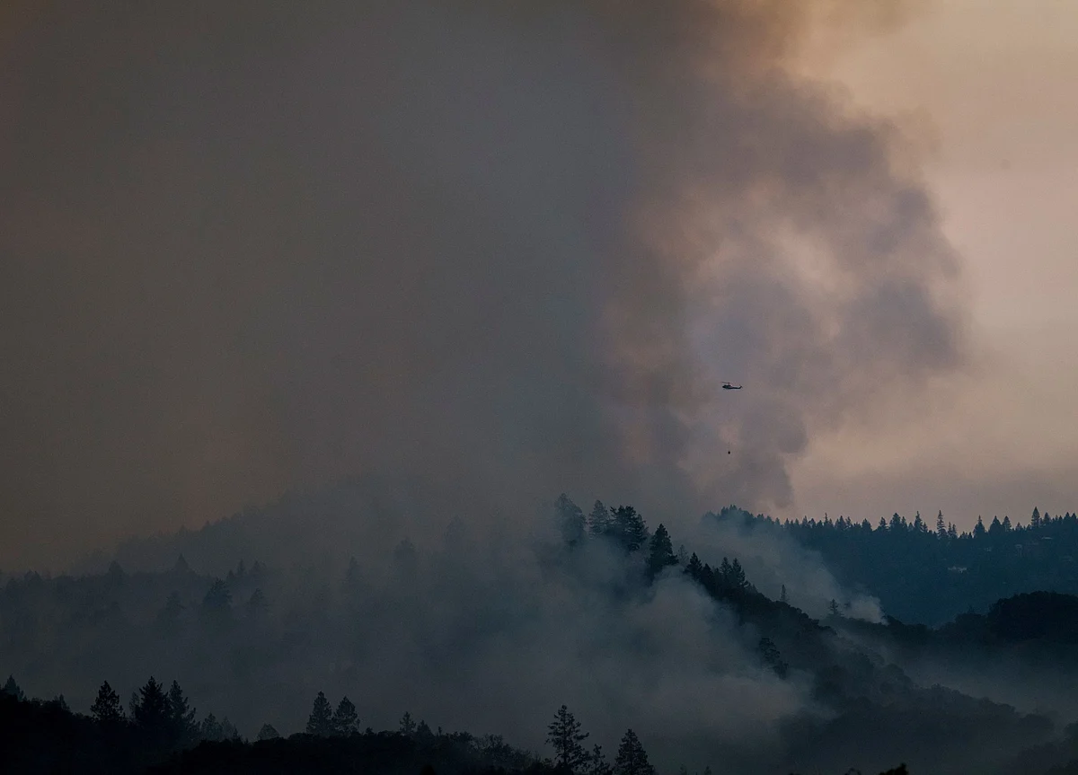 An Estimated 80% of Napa’s Cabernet May Be Lost to Fire and Smoke