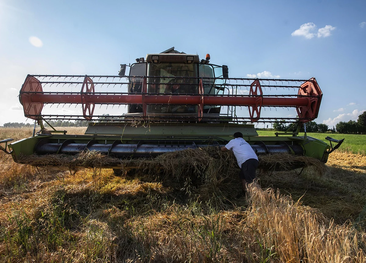 Abu Dhabi Investor Signs Pact on $225 Million Sudan Farm Project