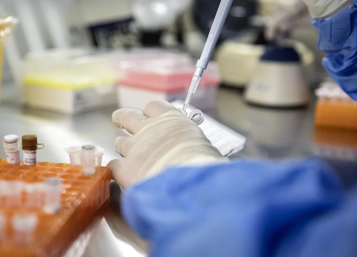 Genome Editing Breakthrough Awarded Chemistry Nobel Prize