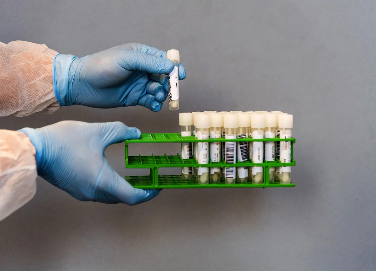 Vaccine Trials Seen Resuming; Cases Top 41 Million: Virus Update