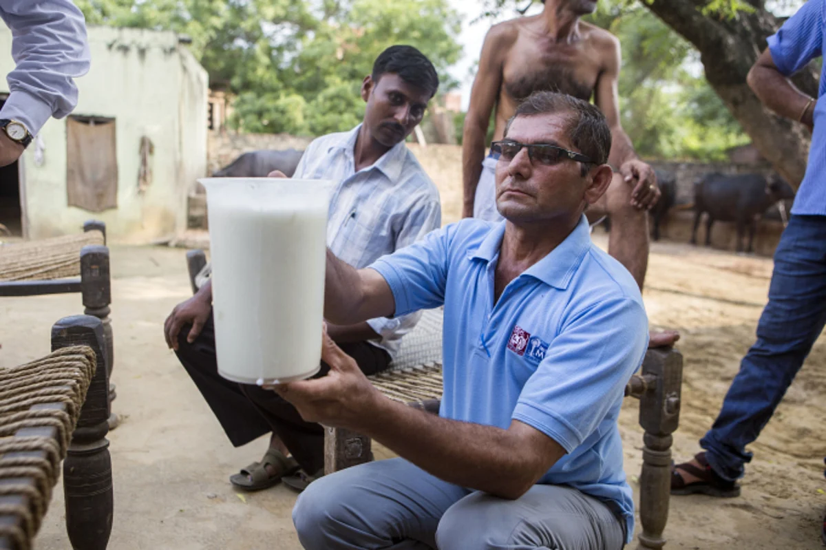 A National Dairy Development Board worker measures the volume of milk collected from buffaloes in Bhagpat, Uttar Pradesh. (Photographer: Prashanth Vishwanathan/Bloomberg)
