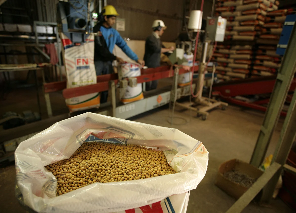 Night-Time Raiders Are Destroying $100,000 Soy Bags in Argentina