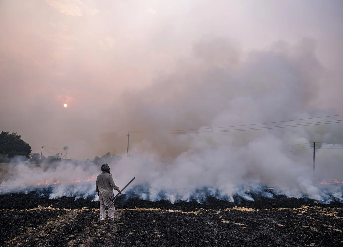 Toxic Air From Fires Is Set to Make India’s Covid Fight Deadlier