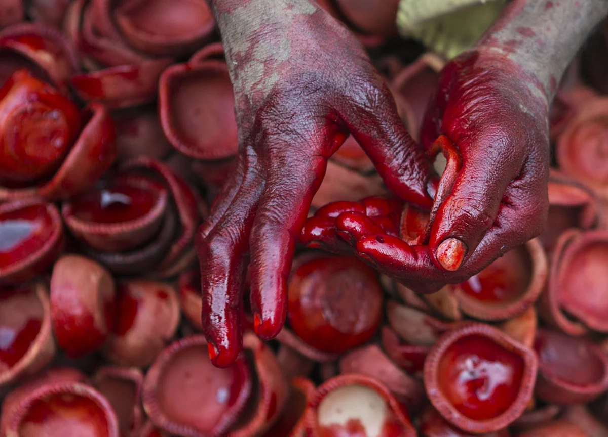 Ten Things I Learnt In The Samvat Of Coronavirus