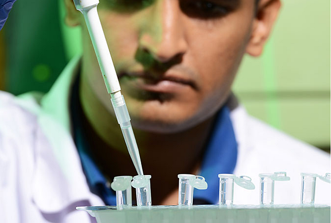 Dolat Capital: Cadila Healthcare Posts In-Line Q2, Vaccine Data Key Monitorable