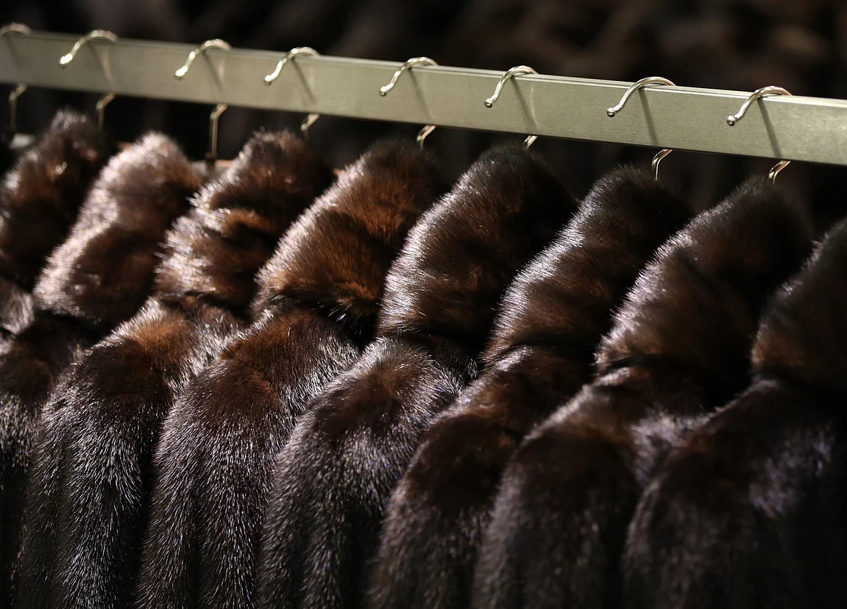 Mutant Virus in Mink Raises Doubts About the Future of Fur
