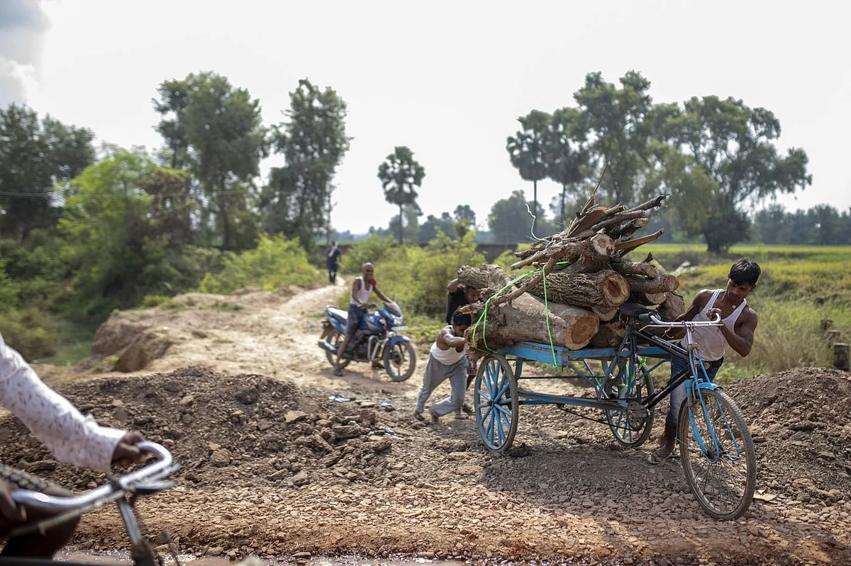 Gaya district, Bihar, October. (Photo: Prashanth Vishwanathan/Bloomberg)