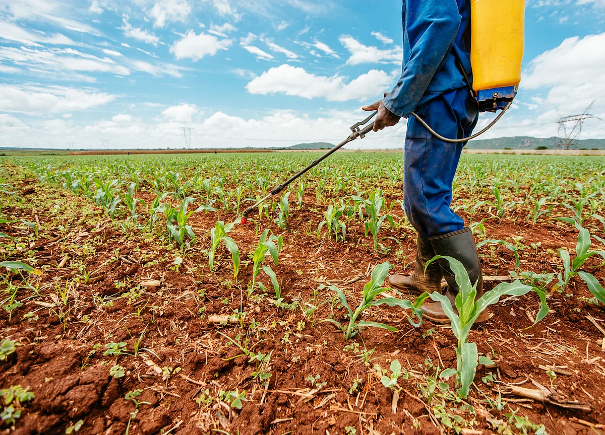 ICICI Securities: Insecticides India Q2 Review- Higher Focus On Cash Collection