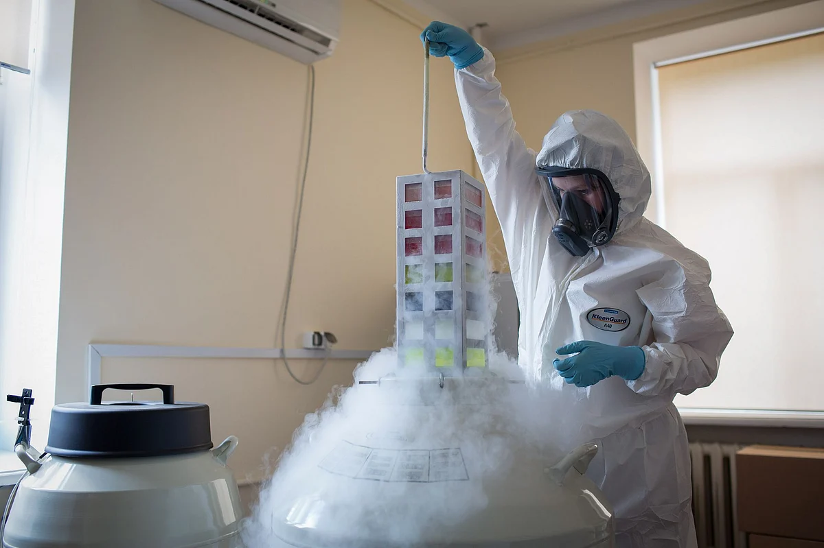 A technician removes a vaccine bank from cryostorage during the production of the Medgamal coronavirus shot at the Gamaleya National Research Center in Moscow on Aug. 6. Photographer: Andrey Rudakov/Bloomberg 