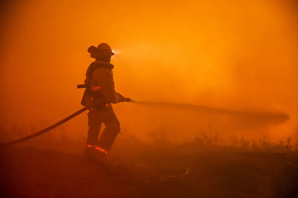 Fire, Health Covers Help Non-Life Segment Grow During Pandemic