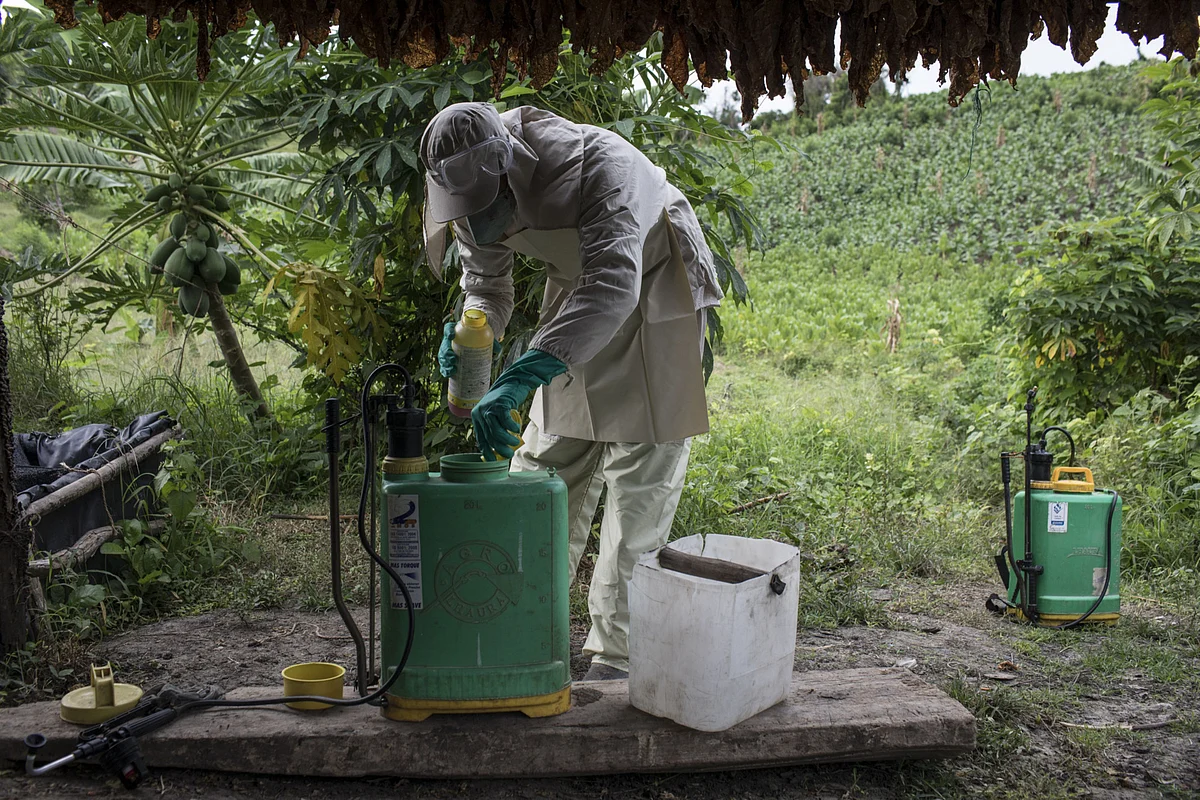 Agro Chemical Earnings Preview: A Lacklustre Q3, Says Prabhudas Lilladher