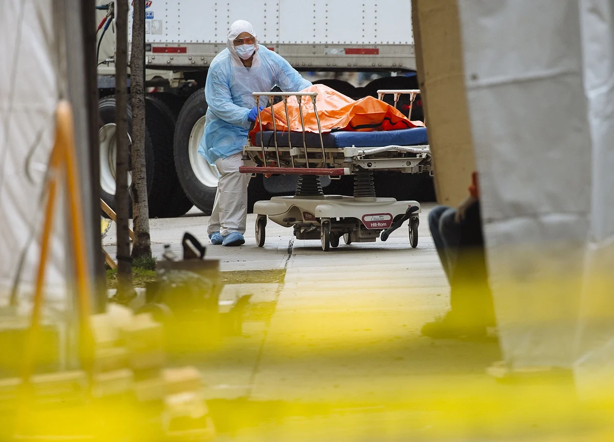 Trump Is Silent on Record Virus Deaths as He Fumes Over Loss