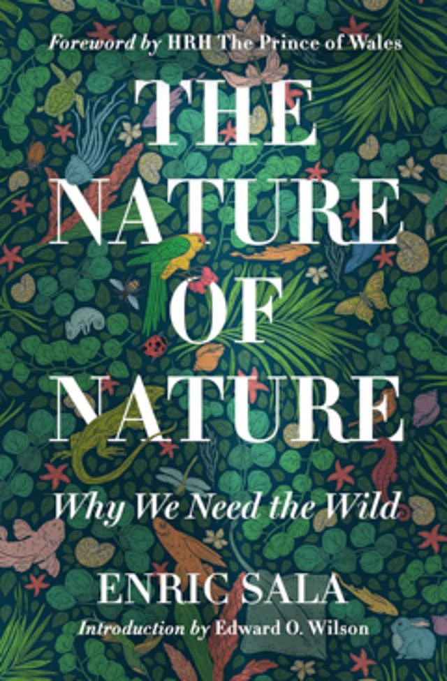 The Best Books Of 2020