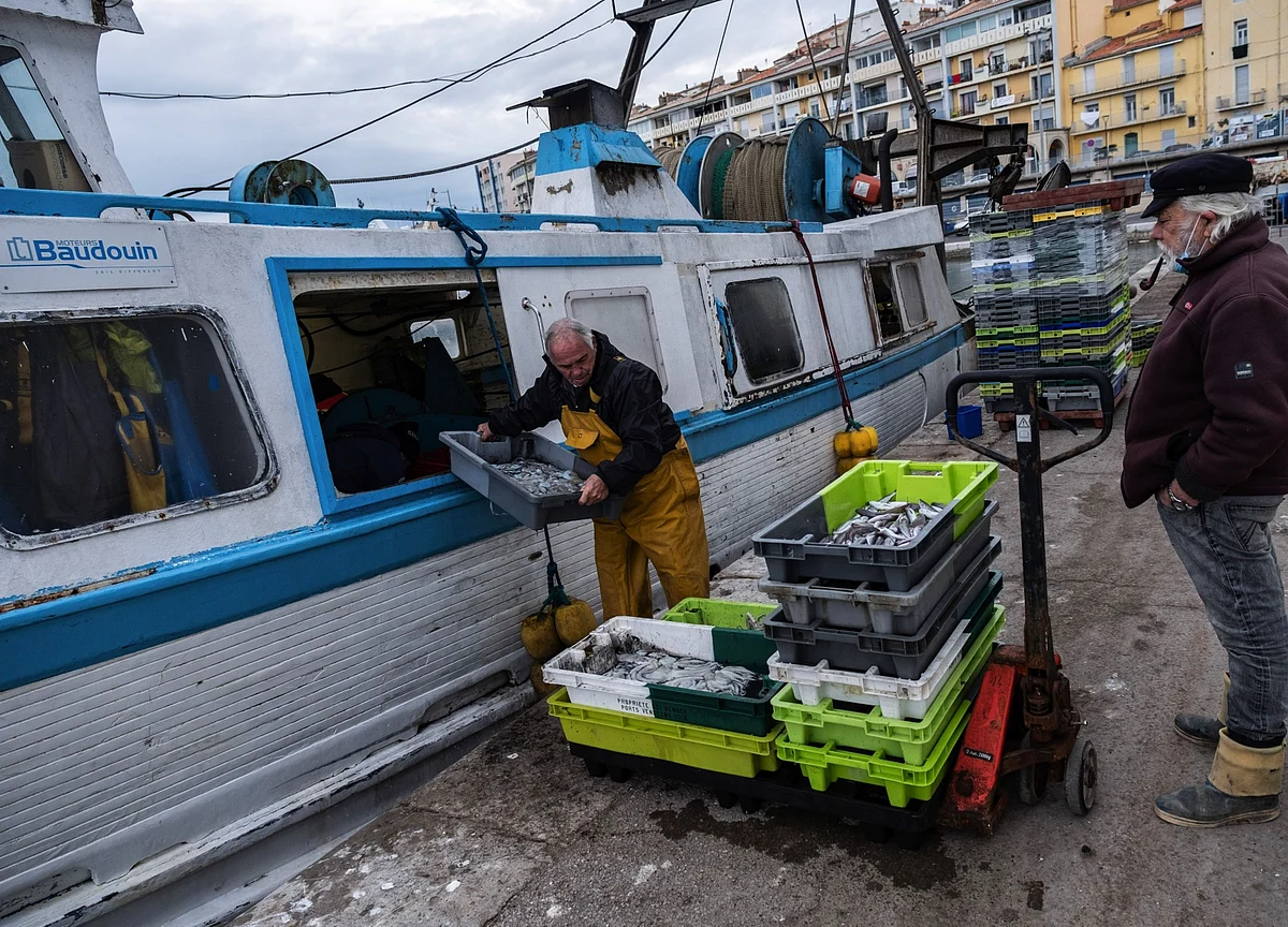 Brexit Talks Head for Their Climax With a Fight Over Fishing