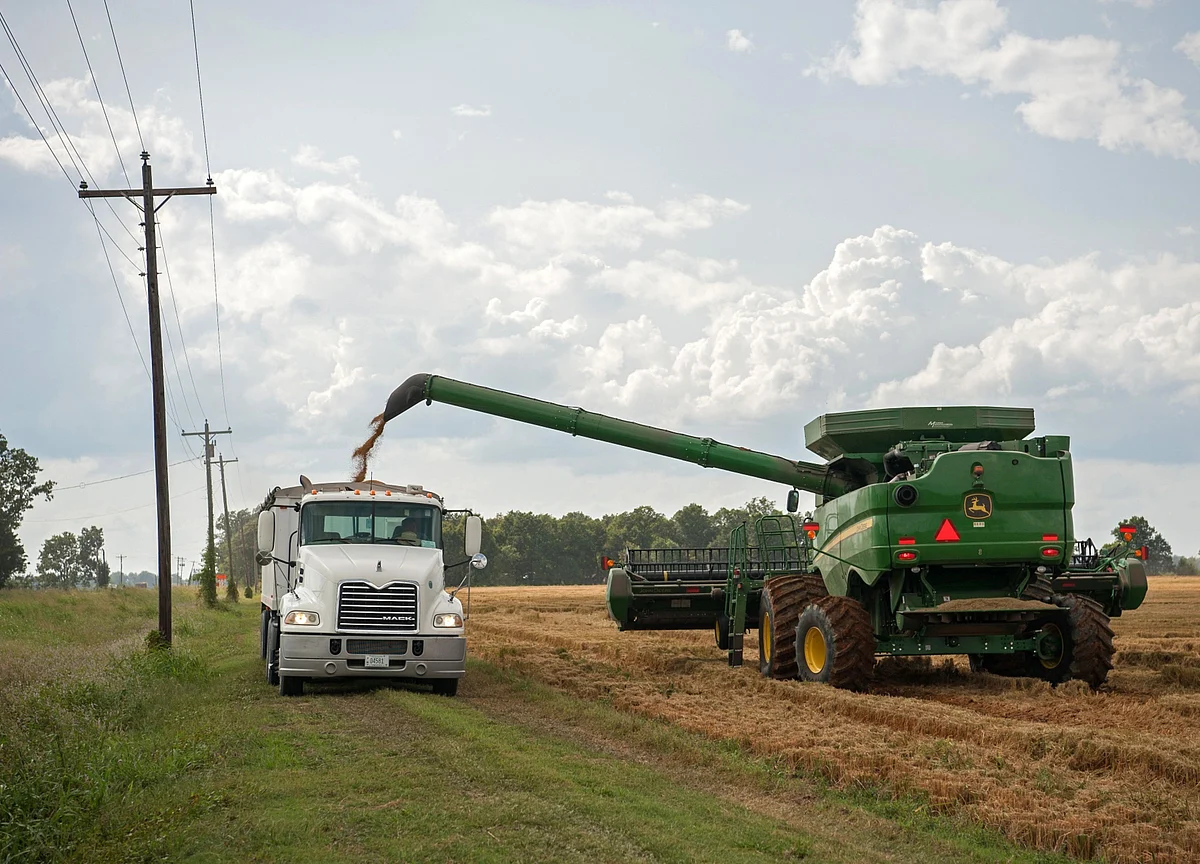 What Trade War? Trump Heartland Sees Record Farm Sales to China