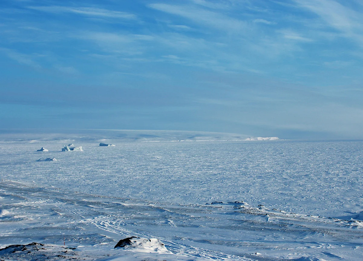 A Year of Heat and Fire Accelerated the Arctic’s Transformation