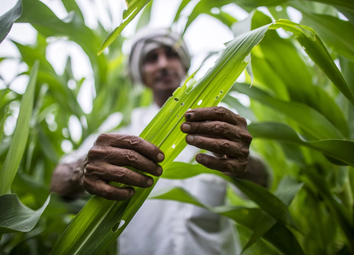 Maharashtra Allots Rs 2,211 Crore For Farmers, Rs 22 Crore For Vaccine Storage