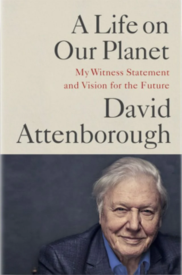 The Best Books Of 2020