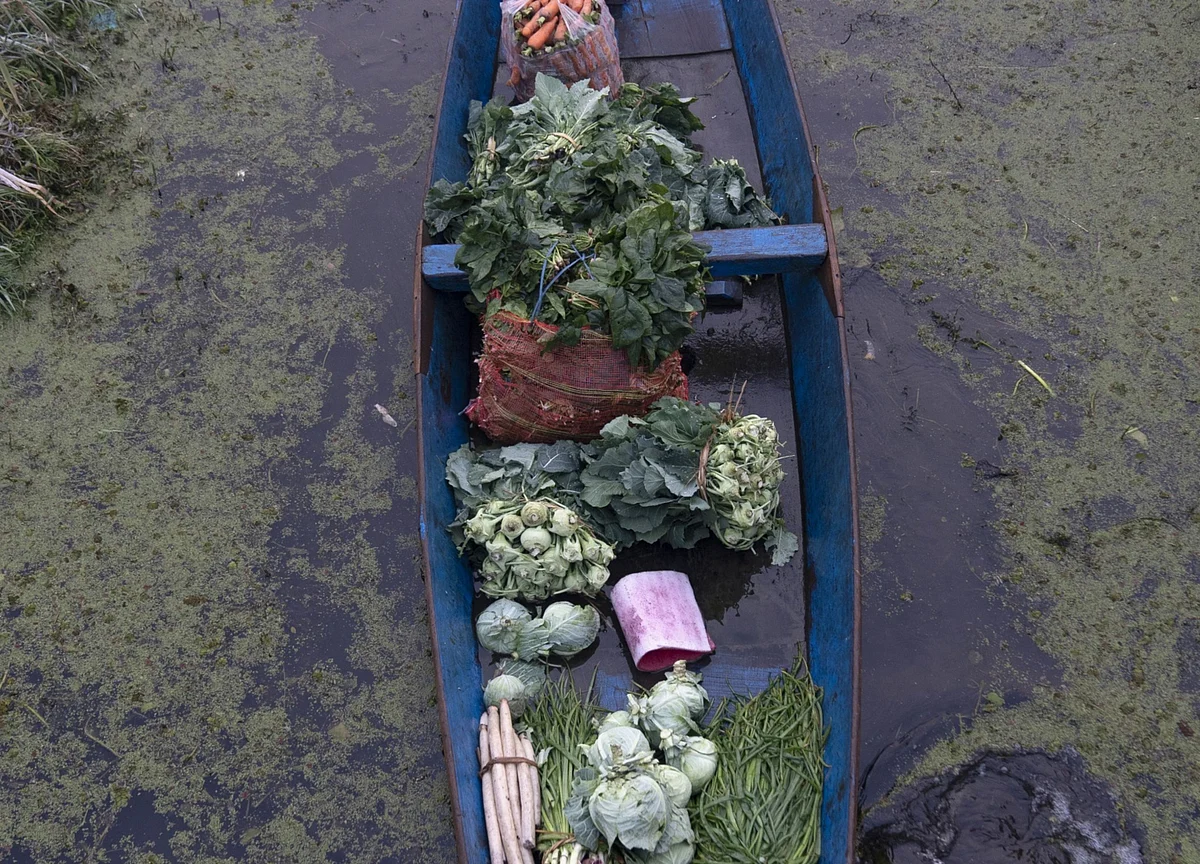 December Relief Seen For Inflation As Vegetable Prices Fall: Nomura
