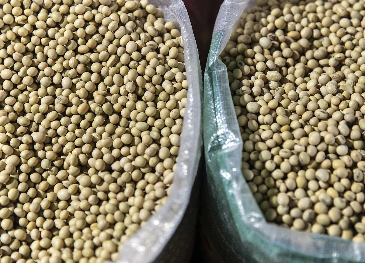 China Is So Thirsty for Soy That America Could Soon Be Importing