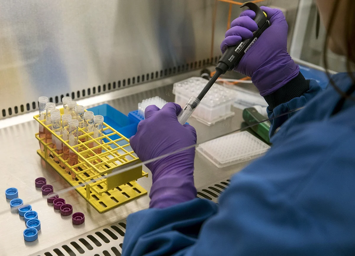 Glaxo, Eli Lilly Join Forces to Test Covid-19 Antibody Cocktail