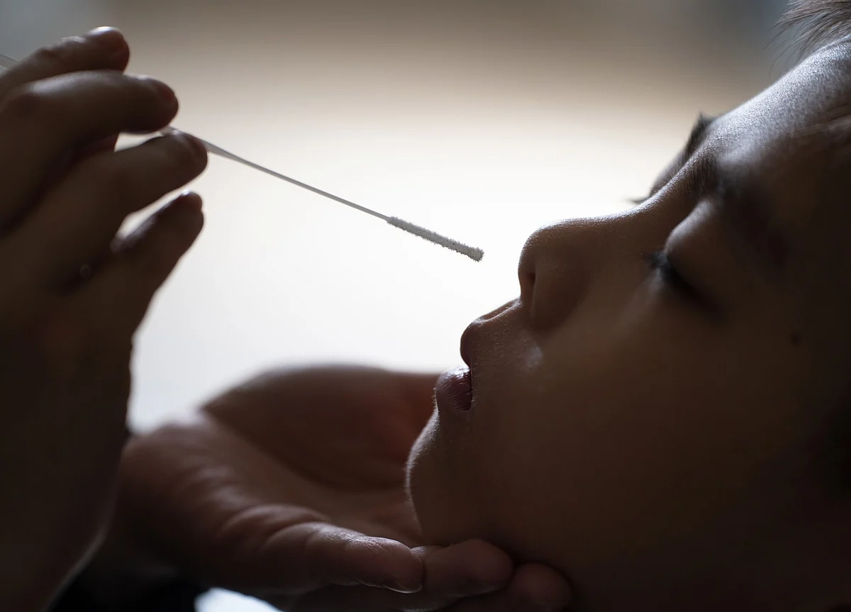WHO Gets Access to China After Virus Origins Experts Delayed