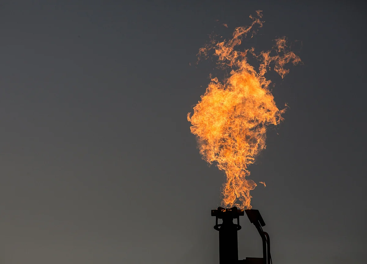 Government Plans 10% Share Sale In Rashtriya Chemicals And Fertilizers