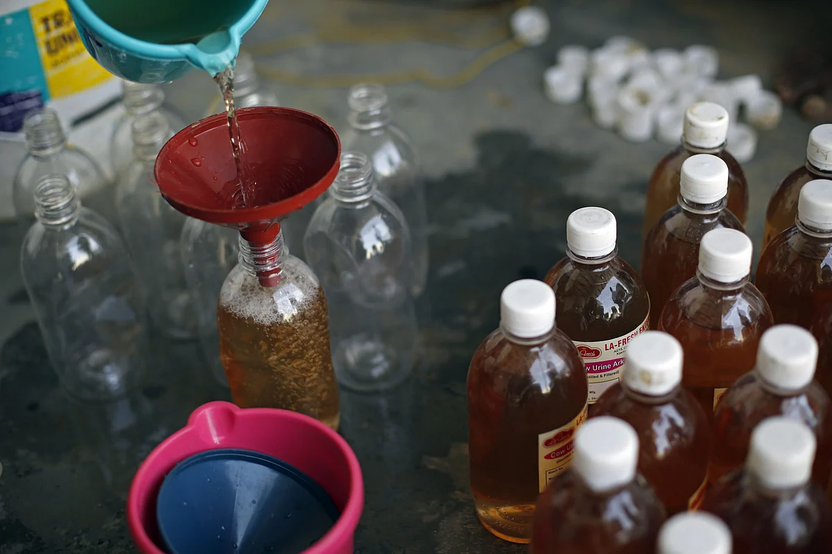 Cow urine is poured into a bottle at a processing facility in Greater Noida, Uttar Pradesh, India. (Photographer: Anindito Mukherjee/Bloomberg)