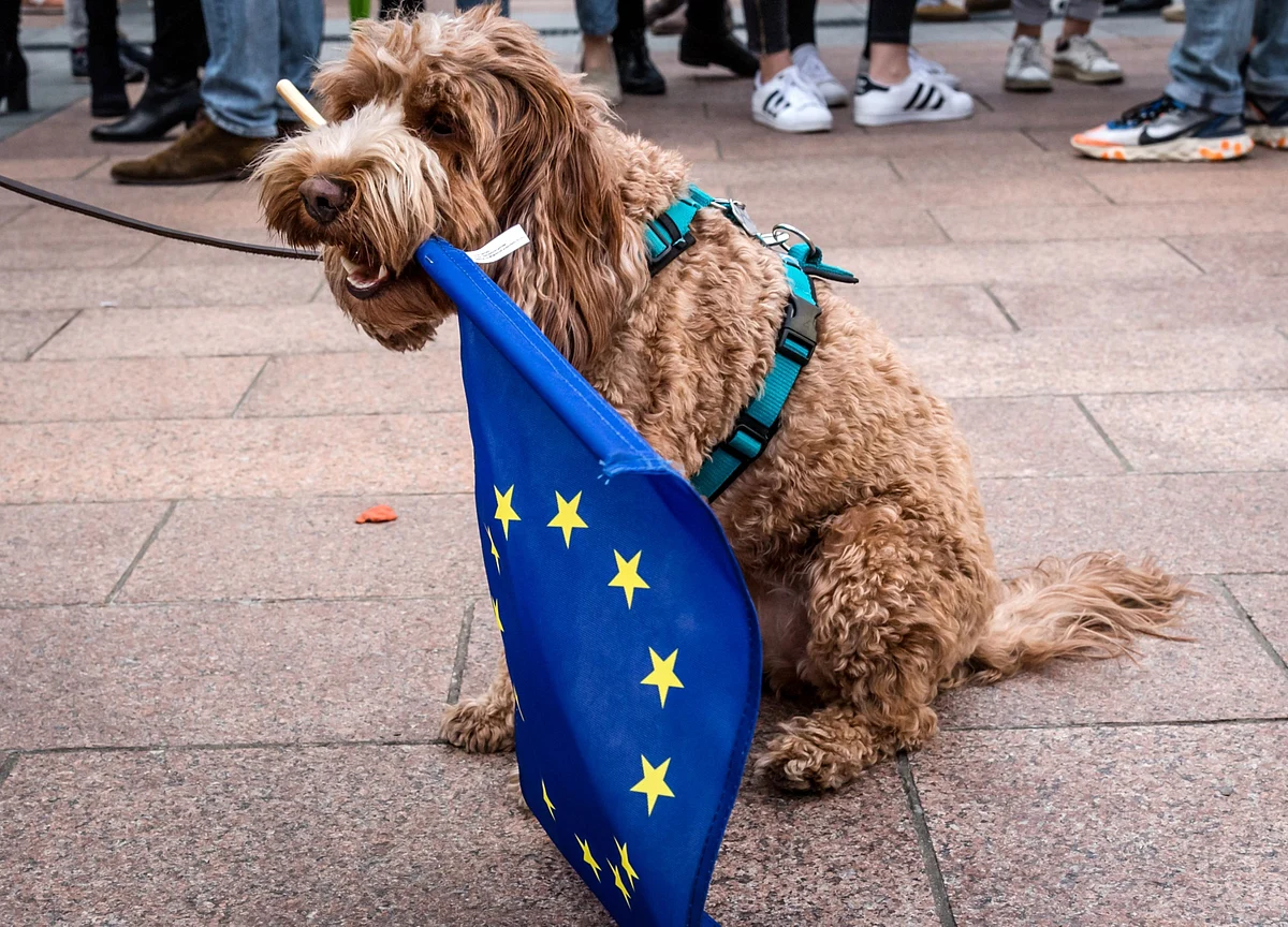 The EU Is Much Less Wonderful Than It Thinks