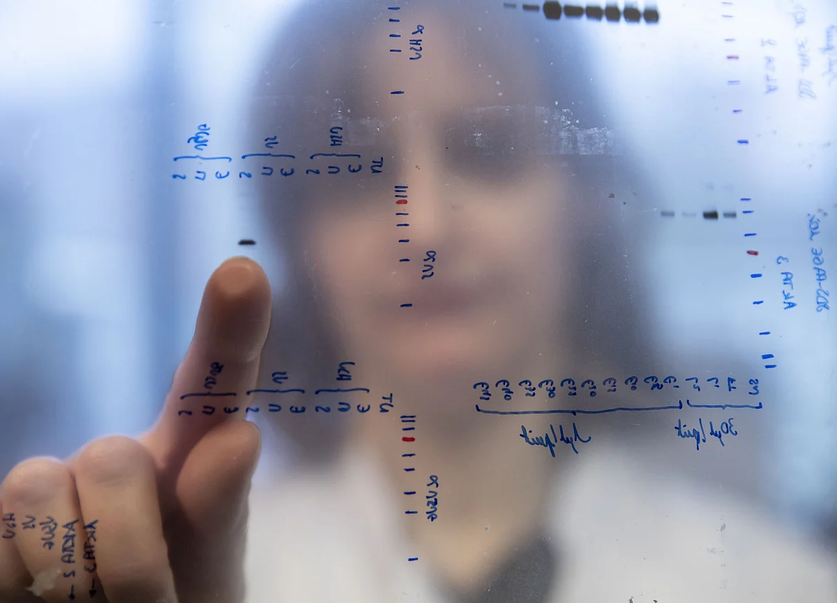 Covid-19 And The Proliferation Of Junk Science