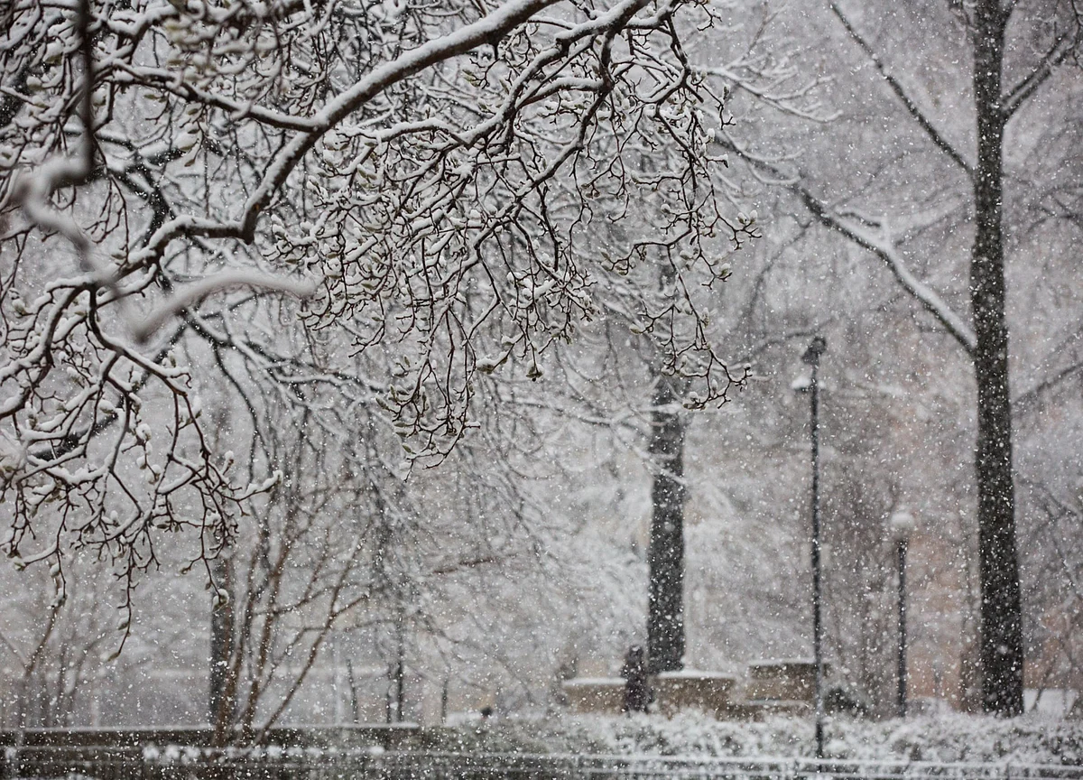 U.S. Power Crisis Leaves Millions Cold, Dark as Blackouts Expand