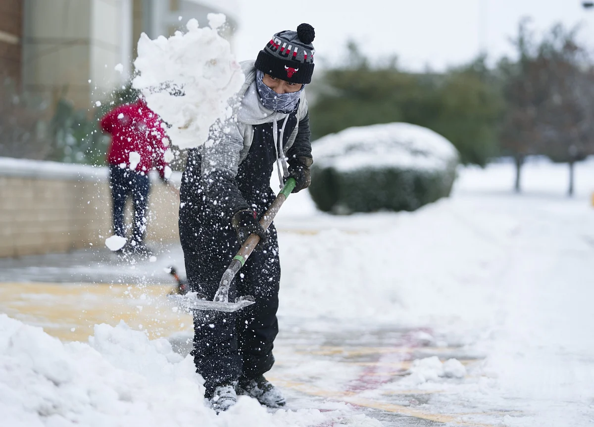 Frozen Texans Rely on Wits and Dogs to Find Water and Warmth