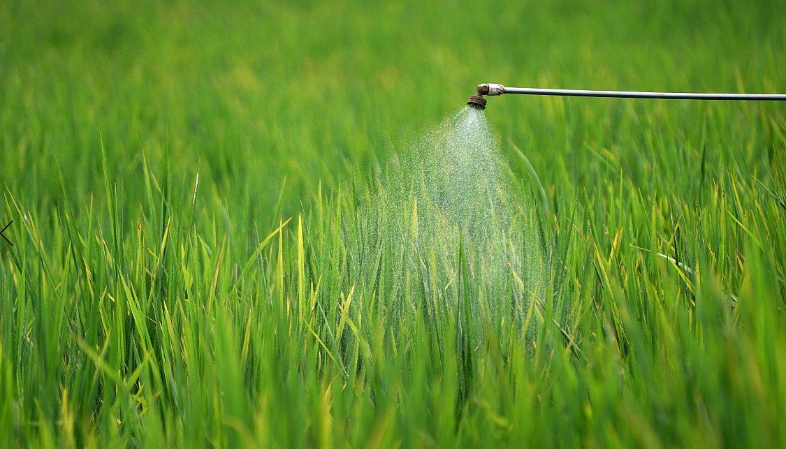 Insecticides India Posts Another Disappointing Quarter: Prabhudas Lilladher
