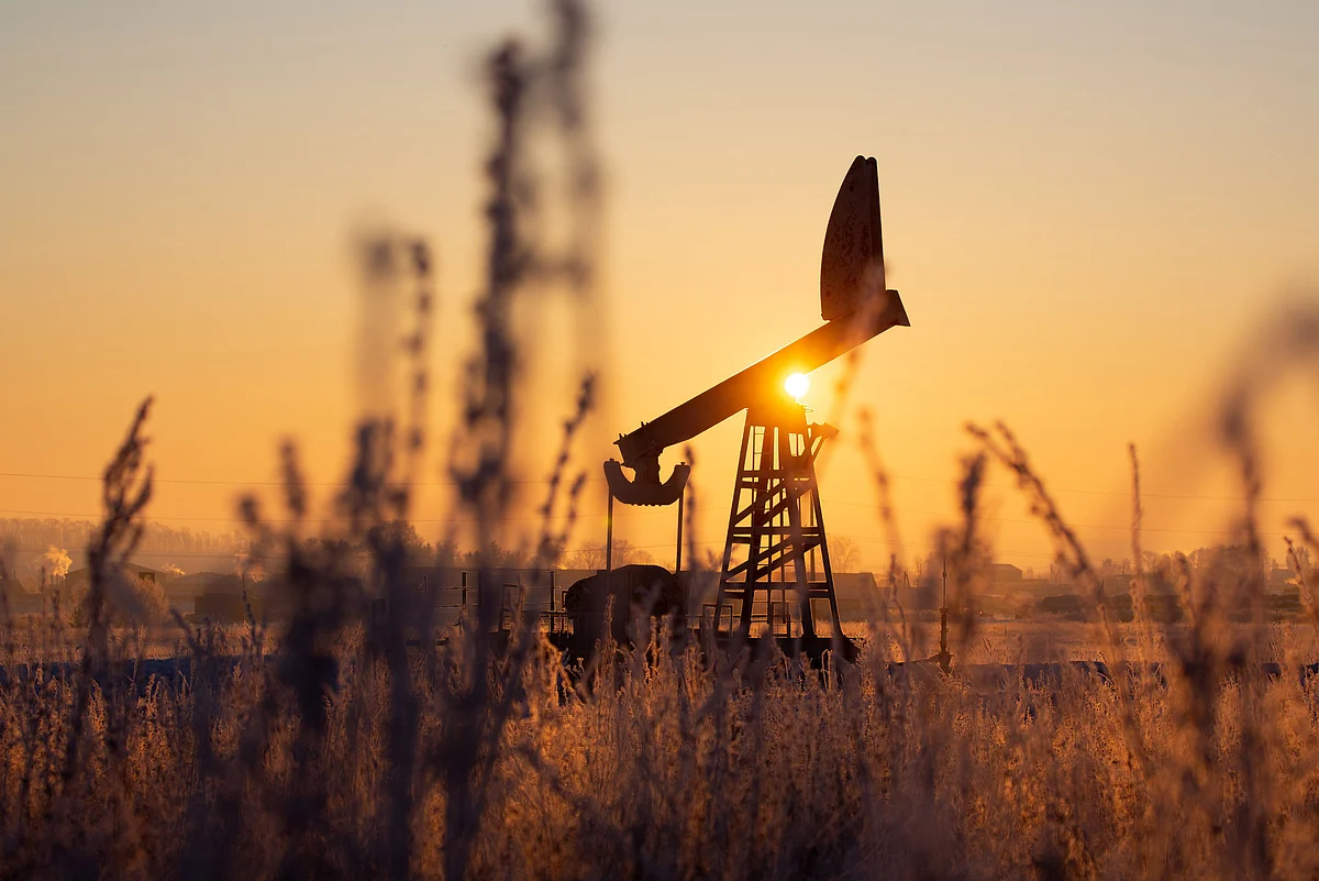 Oil Advances With Signs Emerging of Fuel Consumption Rebound