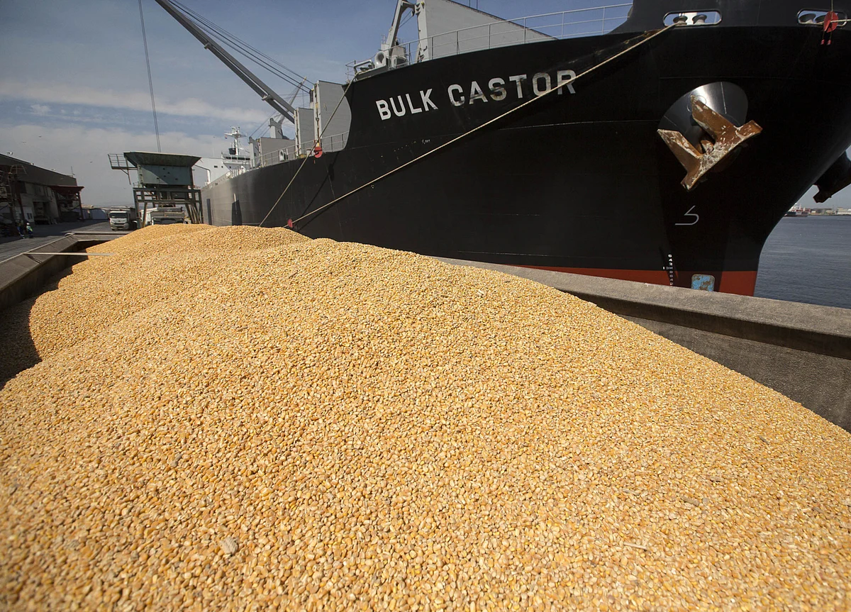 What’s Backed Up at the Suez Canal? Live Animals, Oil and Food