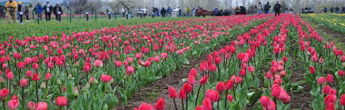 All You Need To Know Going Into Trade on July 8