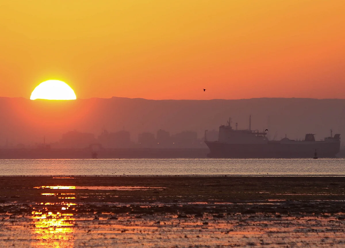 Ships Start to Move in Canal After Ever Given Freed: Suez Update