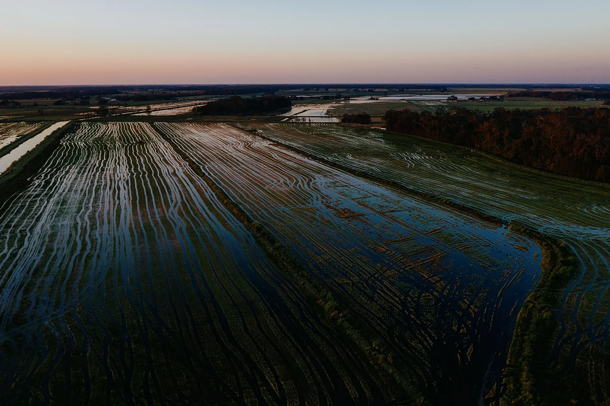 A Fifth of Food-Output Growth Has Been Lost to Climate Change