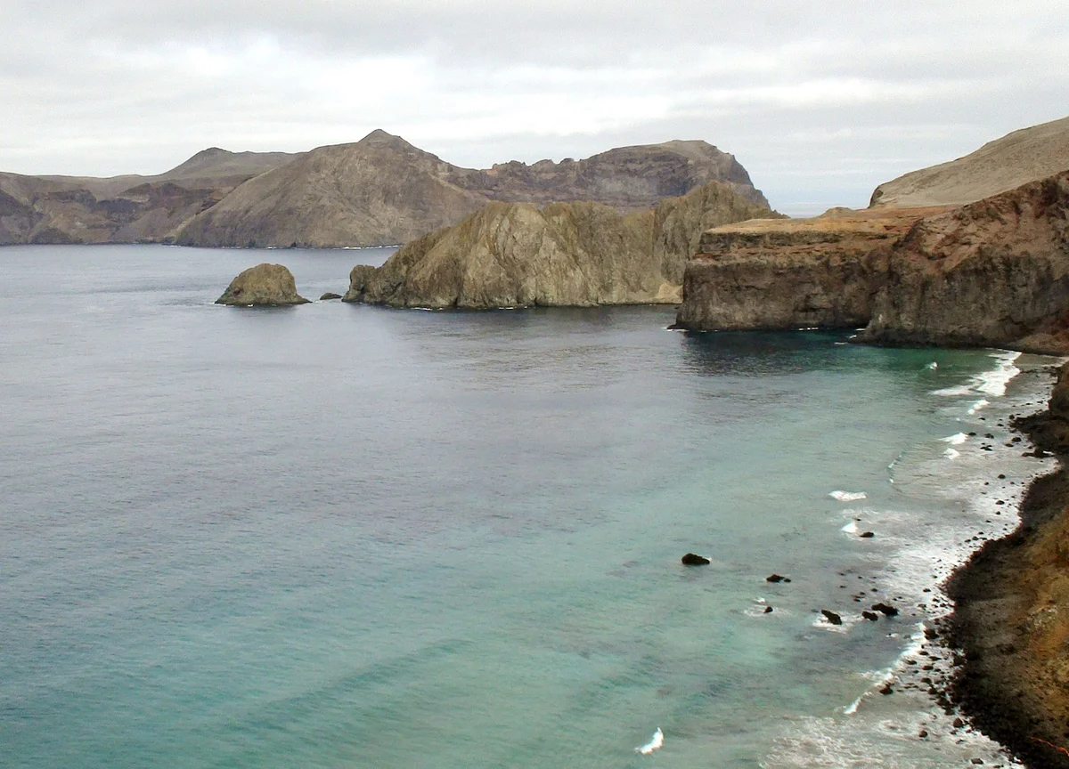 Chile Investigates Algal Bloom That Choked 6,000 Tons of Salmon