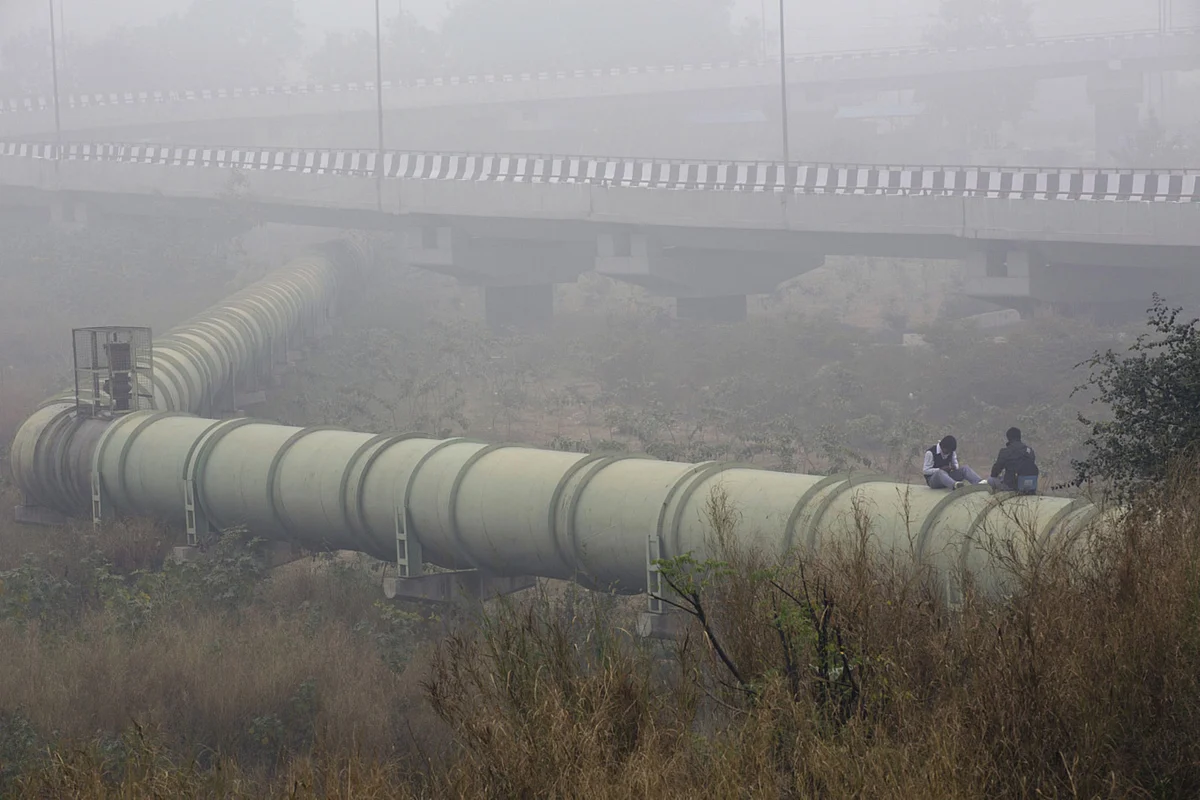 India Should Join the Race to Net Zero