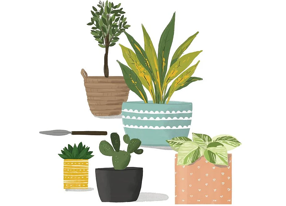 How to Keep Your Houseplants Alive After Covid